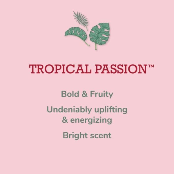 Tropical Scents Home Set 07 960x960